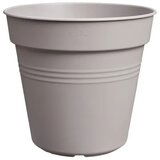 Green basics lonec za rastline "lila" - 24 cm Cene