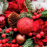 Homéa Ubrusi u setu 20 kom 33x33 cm Noel – Cijene