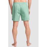 Billabong All Day Lb Boardshorts green ash | Shoptok.si