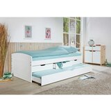 CARRYHOME POSTELJA 90 cm x 200 cm , les bela | Shoptok.si