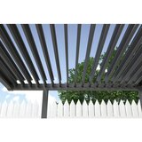 Gardenson Pergola Origin, Antracit, 2,5x2,5m | Shoptok.si