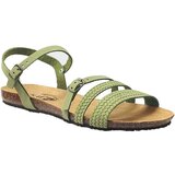 Plakton Sandali & Odprti čevlji Mam alma Zelena | Shoptok.si