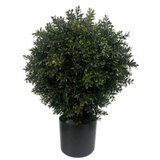 Avatar Ukrasni žbun | Eponuda.com