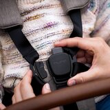 Nuna Kolica za bebe Triv Next Pine, Zelena | ePonuda.com
