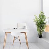 MID.YOU Umetna Rastlina Bambus | Shoptok.si