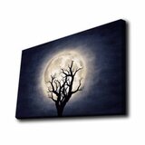 Wallity Dekorativna LED slika 4570KTLGDACT - 002, 45x70cm | Eponuda.ba