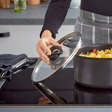Tefal KOZICA Excellence+ aluminij | Shoptok.si