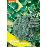 ReinSaat Brokoli "Ramoso calabrese" Cene