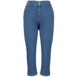 Trendyol Curve Blue Rise Waist Mom Fit Jeans Cene