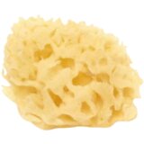 Cose della Natura Beljena Honeycomb gobica - 4-5 g Cene
