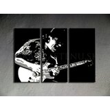  Ručno slikane slike na platnu na platnu POP Art Santana 3-dijelna () | shoptok.hr