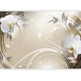  Foto tapeta - Gold dance 98x70 | shoptok.hr