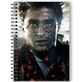 HARRY POTTER A5 3D notebook | shoptok.hr