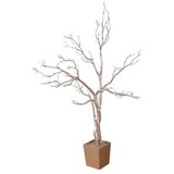  Festa root dekoracija drvo zlatna 40 cm ( 740050 ) Cene