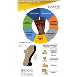 Coccine  | ePonuda.com
