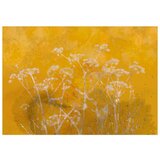  Tapeta - Meadow Bathed in the Sun 150x105 | shoptok.hr