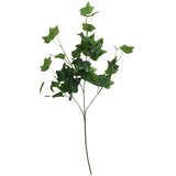  Rezano cvijeće Grana zelenila 66 cm 64810110 | shoptok.hr