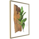  Poster - Forest Bouquet 30x45 Cijene
