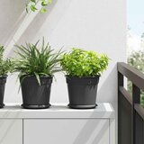  Okrugla saksija za cveće 6 pcs Crna Ø 19 x 16 cm Plastika | shoptok.hr