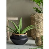 Bloomingville Umetna rastlina (višina 61 cm) Aloe – | Shoptok.si