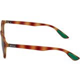 Kodak Sončna očala CF90070-695 Kostanjeva | Shoptok.si