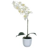 Umetna roža Phalaenopsis (Višina: 60 cm, Bela, Plastika) | Shoptok.si