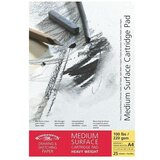 WINSOR & NEWTON Blok za crtanje Drawing (220 g/m², DIN A3, Srednje, Broj listova: 25 Kom.) | shoptok.hr