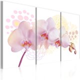 Slika - White Lady 120x80 Cijene