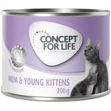 Concept for Life Mum & Young Kittens Mousse - Varčno pakiranje: 24 x 200 g | shoptok.hr