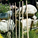 Bambusova palica (60 cm)