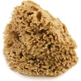 Cose della Natura honeycomb - naravna spužva - majhna, 5-6 g Cene