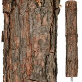  Božićno drvce bor na deblu 220 cm | shoptok.hr