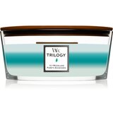 WoodWick Icy Woodland mirisna svijeća s drvenim fitiljem (hearthwick) 453,6 g Cijene