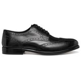 Geox U barberigo | Eponuda.com