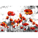  Tapeta - Perdition 150x105 | shoptok.hr