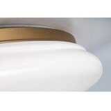 Rabalux Caliope 75053 LED plafonjera | ePonuda.com
