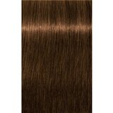 Schwarzkopf Professional IGORA Royal Absolutes barva za lase odtenek 6-50 60 ml | Shoptok.si