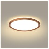  Brilagi - LED kupatilsko plafonsko svetlo ULTRA SLIM LED/12W/230V, prečnik 22,5 cm, u boji roze zlata, IP54 | Eponuda.com