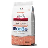 Monge mini adult monoprotein losos i pirinač 2.5kg Cene