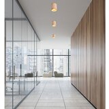 STROPNA SVETILKA Tuba 7.9/7.9/10 cm | Shoptok.si