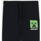 Sinsay Donji dio trenirke Minecraft | shoptok.hr
