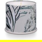 ILLUME x Bloomingville Dišeča sveča iz sojinega voska čas gorenja 50 h Winter – | Shoptok.si