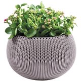 Keter Plastična viseća i zidna posuda za cvijeće ø 36 cm Cozy – | shoptok.hr