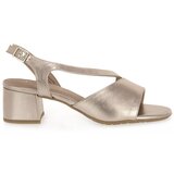 Jana Champagner Gold | shoptok.hr