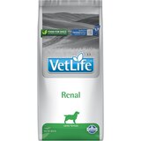 Farmina Vet Life Dog Renal - 12 kg | shoptok.hr