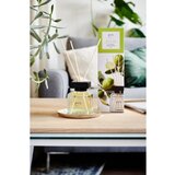 IPURO Dišava za prostor Ipuro ESSENTIALS Lime Light (100 ml) | Shoptok.si