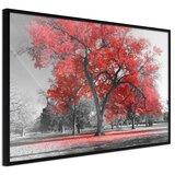  Poster - Red Tree 60x40 Cijene