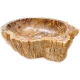 Miraggio Umivaonik Fossil Wood 40 | shoptok.hr