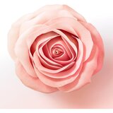 Pantene Body & Strength Rose Water maska za kosu za nježnu i normalnu kosu 160 ml | shoptok.hr