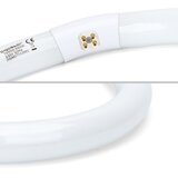 Aigostar fluorescentna cev T9 G10q/40W/230V 6500K | Eponuda.com
